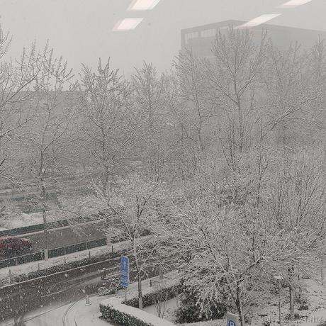 蜡笔小新眼子于2022-03-18 15:50发布的图片