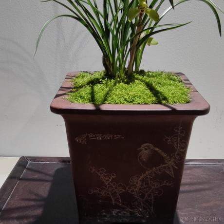 呆灬苹果于2022-02-26 16:16发布的图片