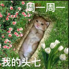 一句都写不出来于2023-12-04 10:09发布的图片