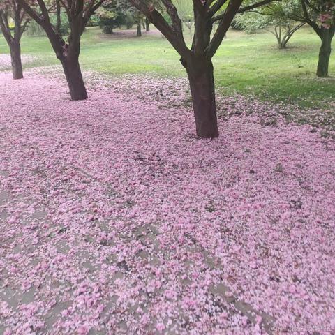 天火QAQ于2023-03-17 23:51发布的图片