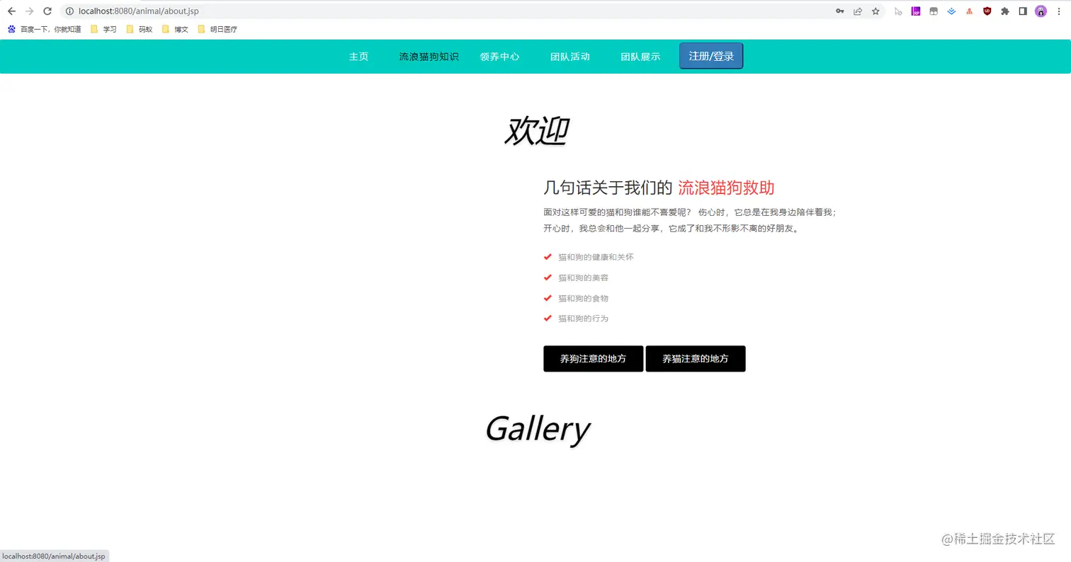 04 流浪猫狗知识.jpg