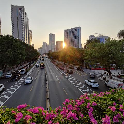 Arieslyg于2022-09-13 22:21发布的图片