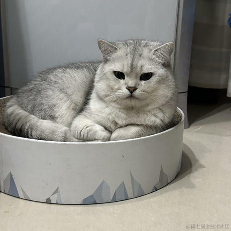 veins于2023-04-10 09:57发布的图片