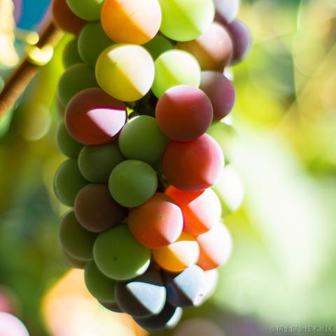 通惠管理顾问于2023-06-20 18:01发布的图片