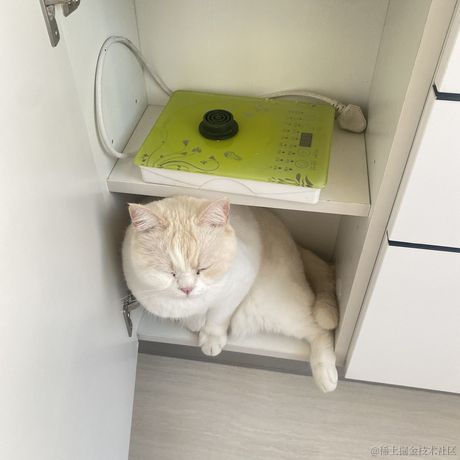 点点是只猫于2023-01-22 19:05发布的图片