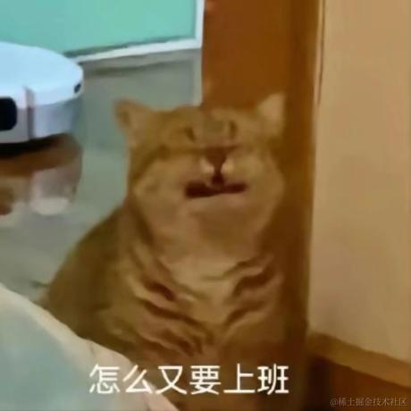 头发超多的柚子于2023-05-06 09:33发布的图片