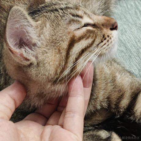 叨叨呀于2022-06-19 01:32发布的图片