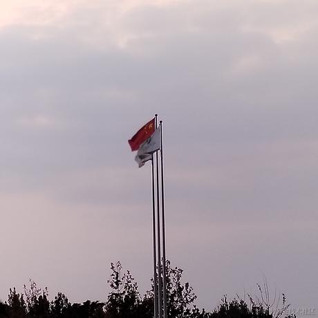 Rubidium于2022-11-15 08:47发布的图片