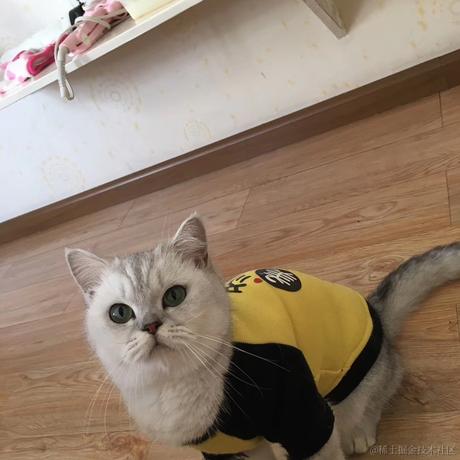 伊人a于2021-10-27 13:20发布的图片