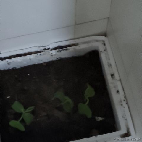 Zaccc于2023-04-18 23:20发布的图片