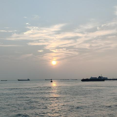 北冥养条鱼于2022-11-27 16:56发布的图片