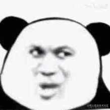 鸭鸭世界第一可爱于2023-03-09 01:46发布的图片