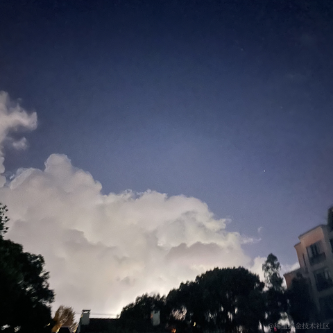老汤姆于2021-07-20 22:49发布的图片