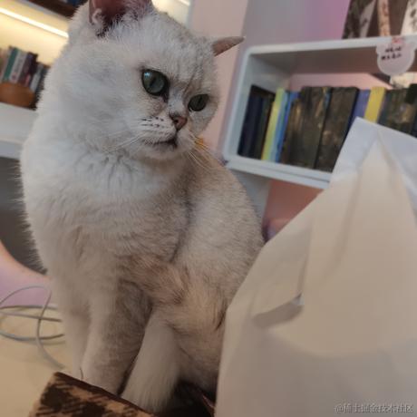 LINer于2023-04-04 21:53发布的图片