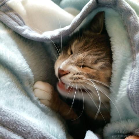 奔跑吧鸡翅于2021-11-01 08:44发布的图片