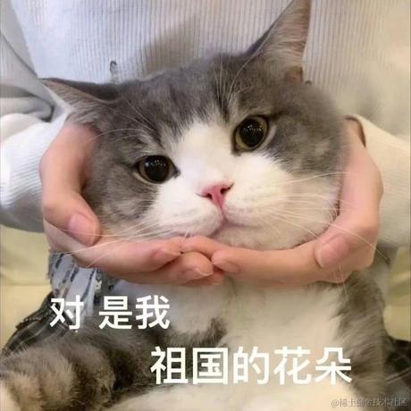 icetm_jim于2023-07-26 22:49发布的图片