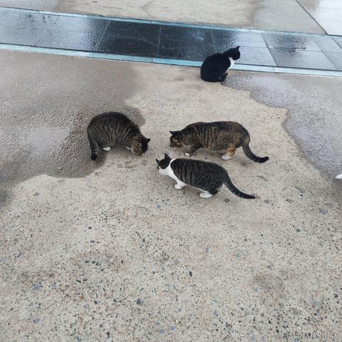 蹄蹄于2022-11-27 17:27发布的图片