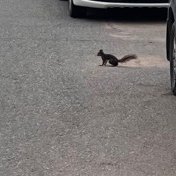 竹竹子吃猪猪于2022-12-23 02:16发布的图片