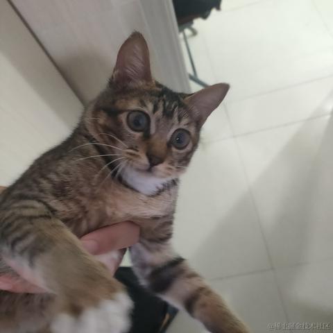 科目三后吃饭于2020-10-30 00:17发布的图片