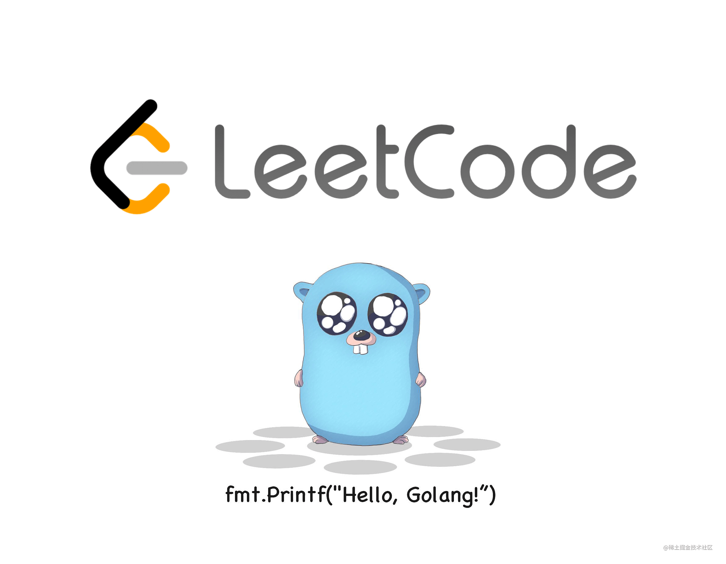 LeetCode Go