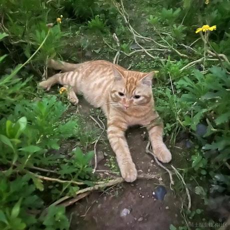 pany于2022-06-26 23:26发布的图片