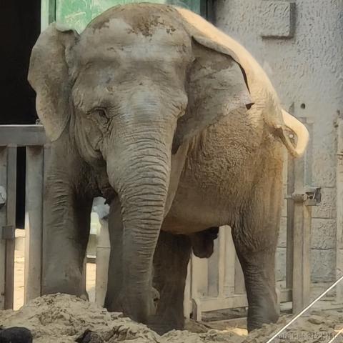 丁烷人是我了于2022-11-11 22:10发布的图片