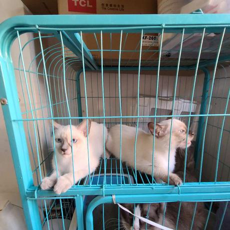 wenyuantc于2020-08-24 17:41发布的图片