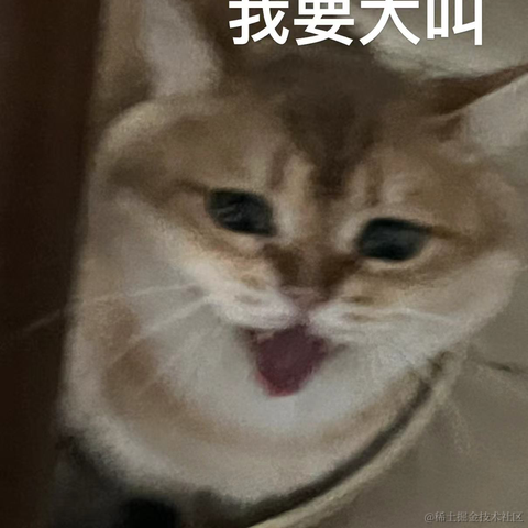 睡懒觉的浩How于2024-03-30 10:33发布的图片