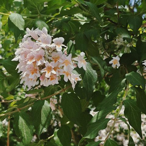 violetBlue于2023-05-10 22:18发布的图片