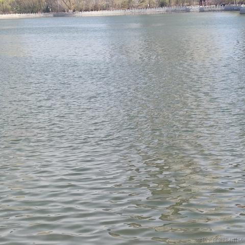 涛涛之海于2023-03-14 13:25发布的图片