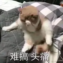 C4D5AF95.jpg