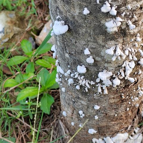 Uwiling于2022-11-28 19:58发布的图片