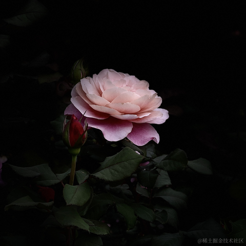 _一杯冰美式_于2023-03-21 10:05发布的图片