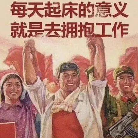 栗鼠p于2022-05-09 09:32发布的图片