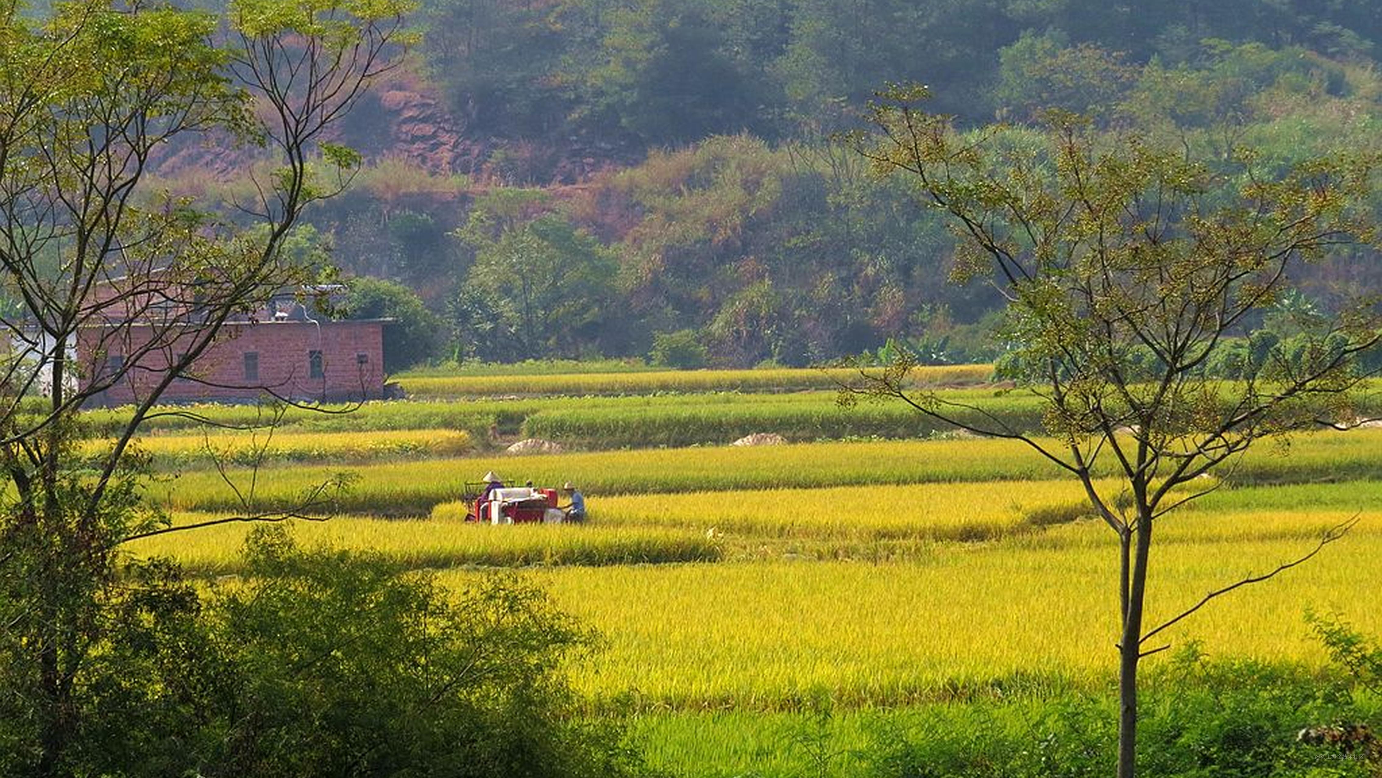 Windows下Electron安装robotjs遇到的问题 掘金