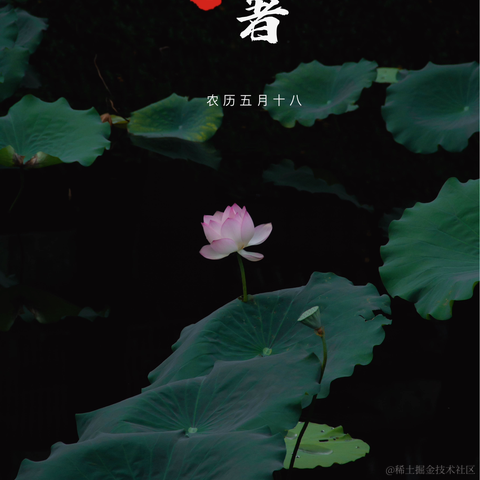接着奏乐_接着舞于2024-06-24 09:24发布的图片