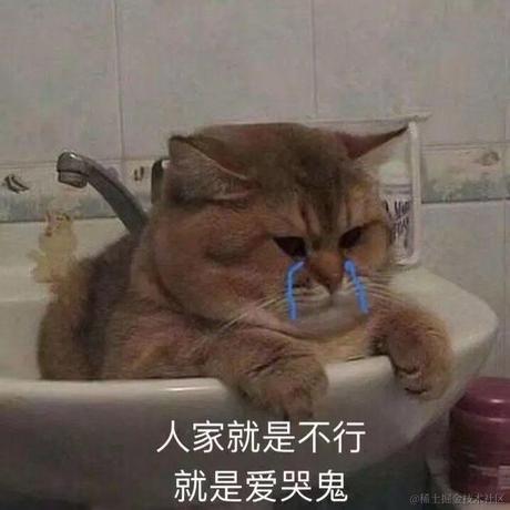 AXin于2021-07-23 09:45发布的图片