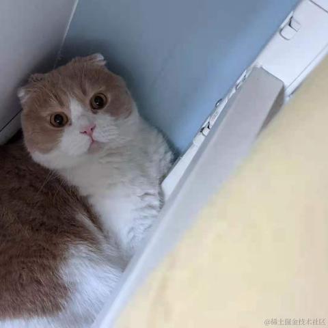 已注销于2021-04-21 08:44发布的图片