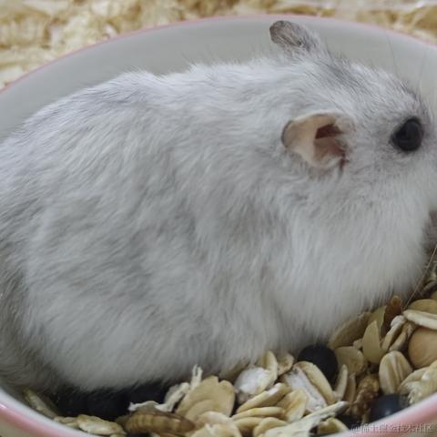 敲敲敲敲暴你脑袋于2023-11-11 13:52发布的图片