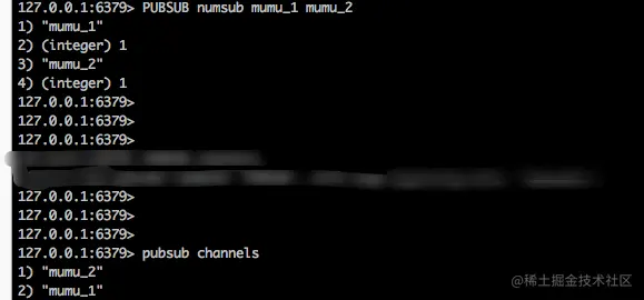 查看订阅数频道信息截图