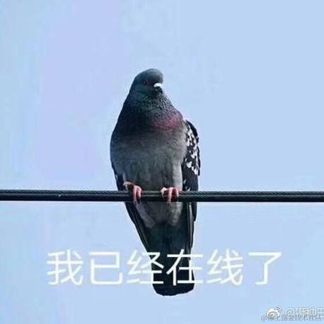 共婵娟于2022-11-16 15:21发布的图片
