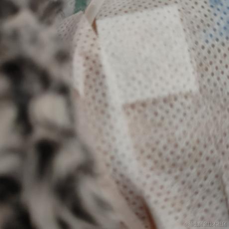 爱琳于2022-12-21 09:54发布的图片