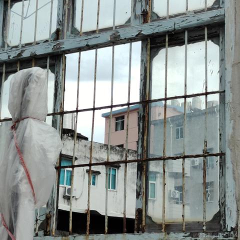 风信子离开向晚于2022-11-27 00:27发布的图片