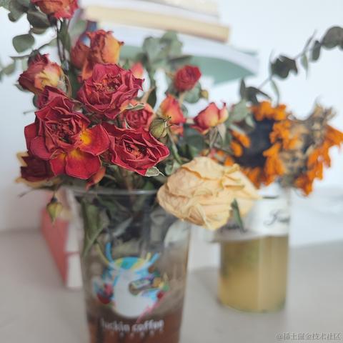 Ann于2023-07-06 00:57发布的图片