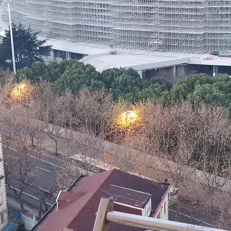 无极游心士于2020-12-31 06:59发布的图片