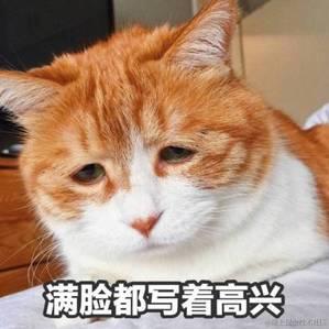 小阿东于2023-10-13 11:08发布的图片