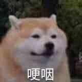 何止于2021-04-27 15:39发布的图片