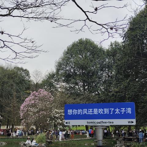 搬砖大哥于2023-03-12 14:14发布的图片