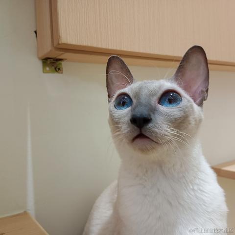 心想事成717于2023-06-25 14:24发布的图片