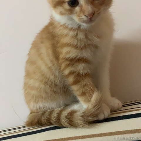 一根小蒜苗于2020-11-09 15:10发布的图片